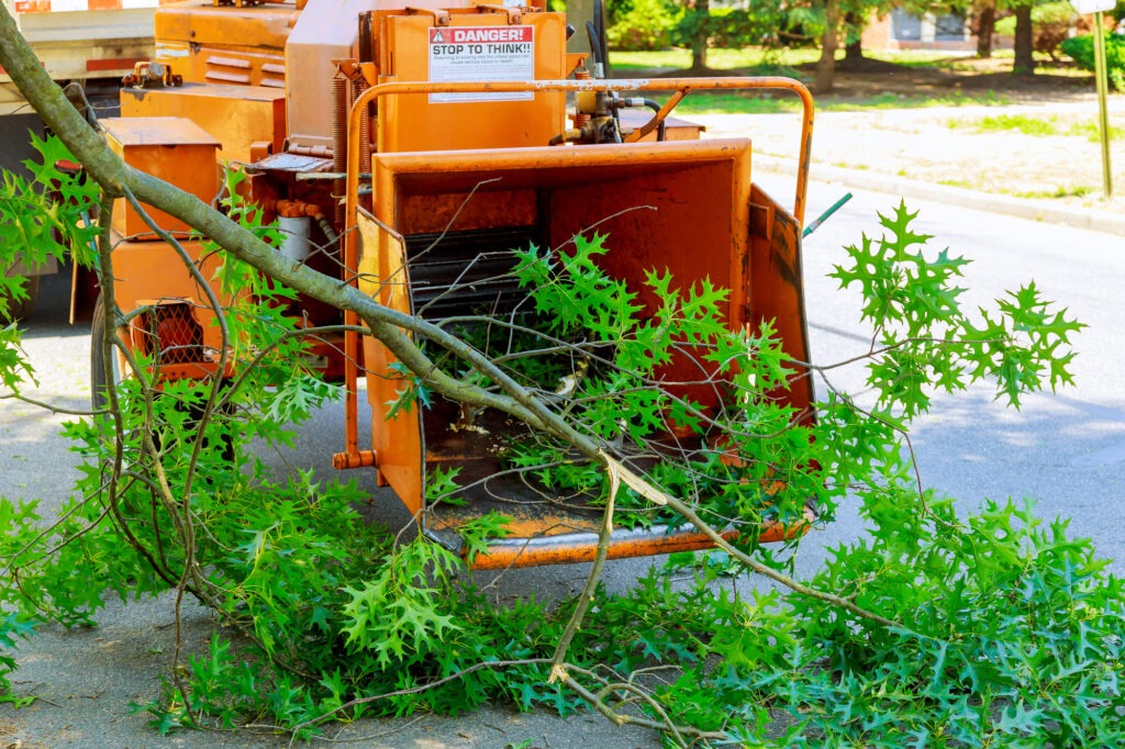 Landscapers using chipper machine to remove and haul chainsaw tree branches; Shutterstock ID 663509149; Purchase Order: Bulk License 2/25/2019; Job: ; Client/Licensee: ; Other: